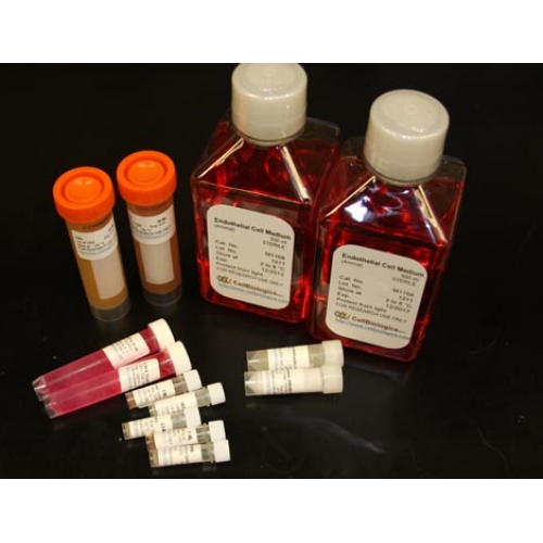 Macrophage Culture Supplement/ Lcell supernatant